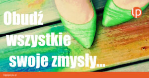 zmysły